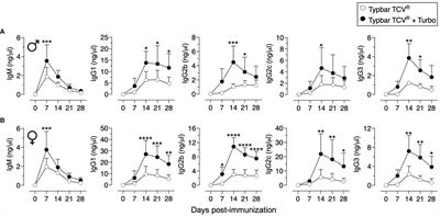 A TLR4 ligand-based adjuvant for promoting the immunogenicity of typhoid subunit vaccines
